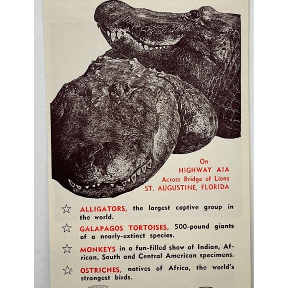 St Augustine Alligator Farm Brochure Florida Travel Souvenir Pamphlet Hwy A1A - Picture 6 of 6